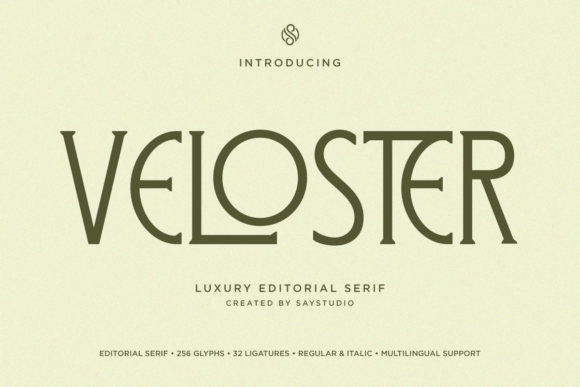 Download Veloster - Premium Resources